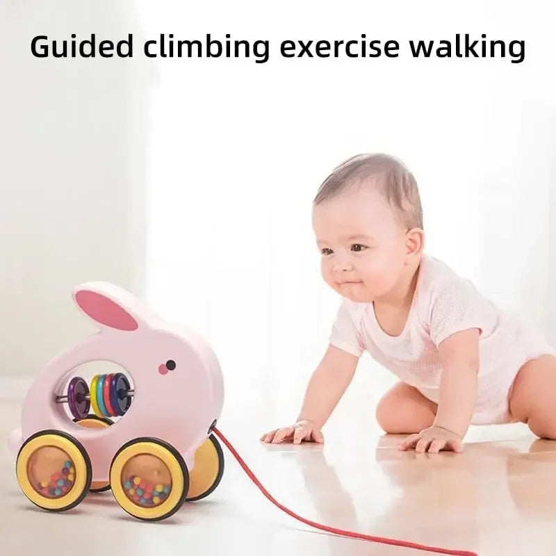 Montessori Toys Car Wooden Pull Along Toddler Animal Pull Developmental for Girl Boy Gift Bunny Turtle Dinosaur